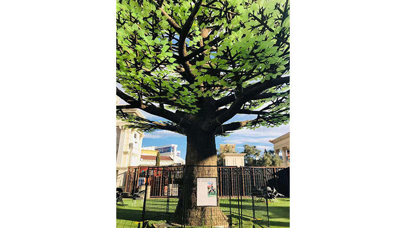 Las Vegas Aesthetic Tree
