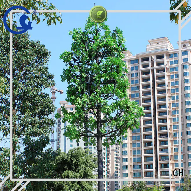 GH cell tower tree ideal for mobile phone signals